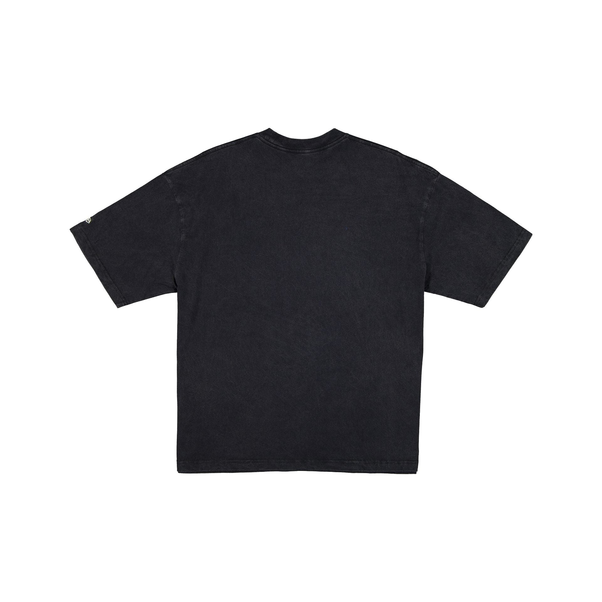 Premium Toronto Raptors Throwback Boxy T-Shirt