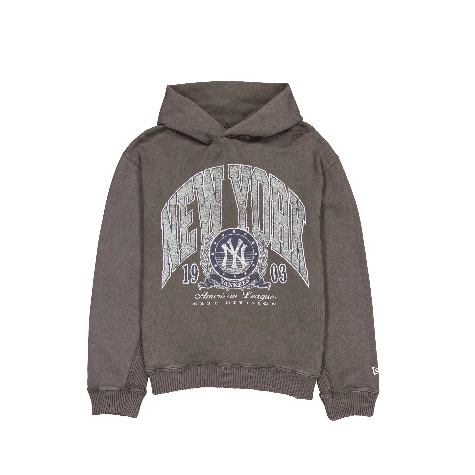 Premium New York Yankees Oversized Essential Hoodie
