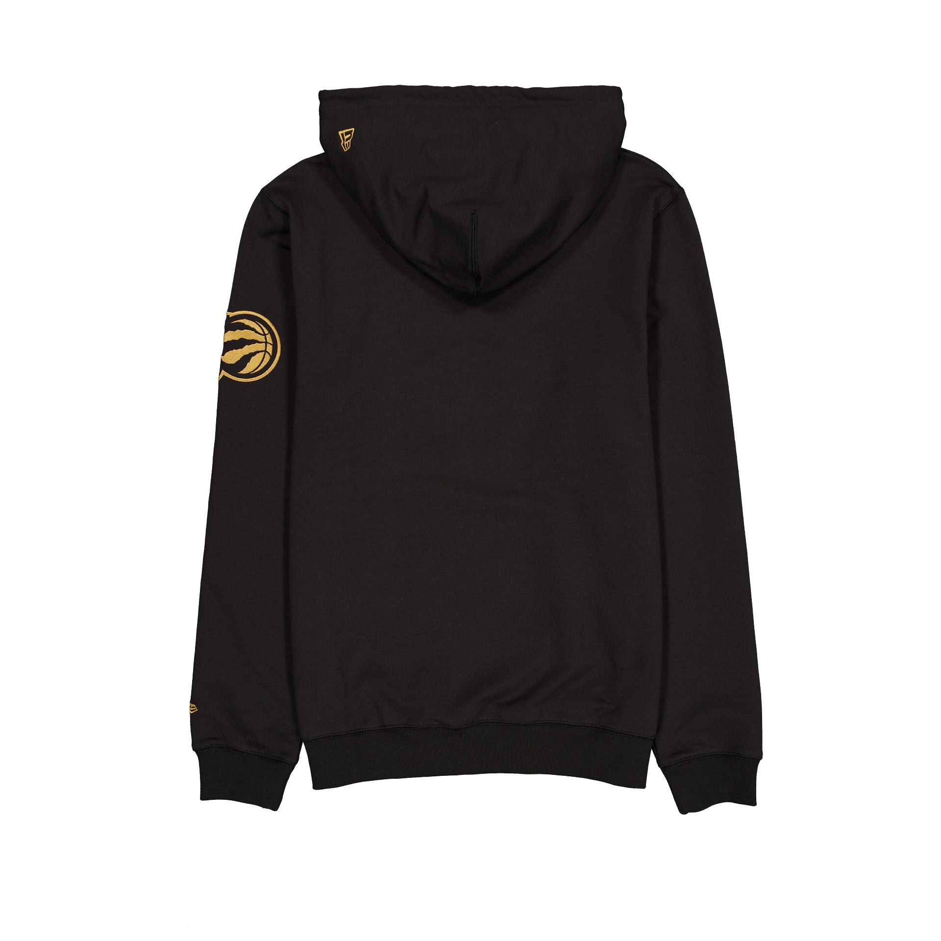 Premium Toronto Raptors 2024 City Edition Hoodie