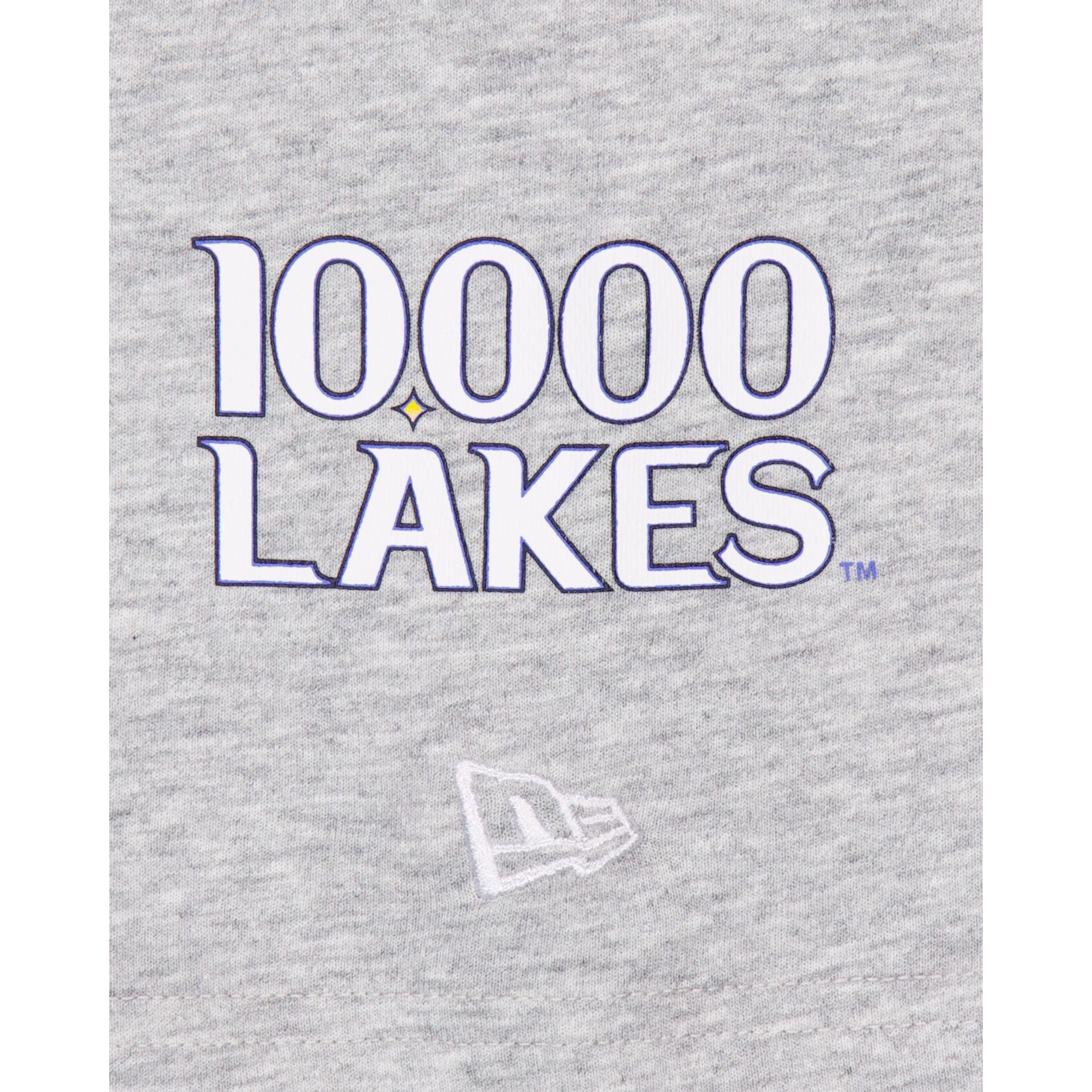 Premium Minnesota Twins City Connect Gray T-Shirt